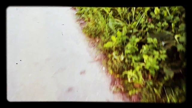 Серено головый и фонаря головой смотреть онлайн