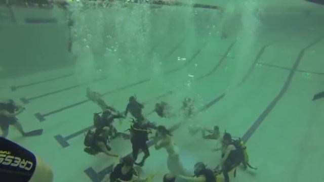 подводная свадьба смотреть онлайн