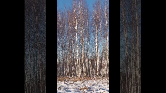 Прогулка в царство Берендея!!! Пришла в Россию зима! На? смотреть онлайн