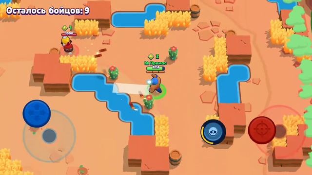 Правильная песня про ель примо смотреть онлайн