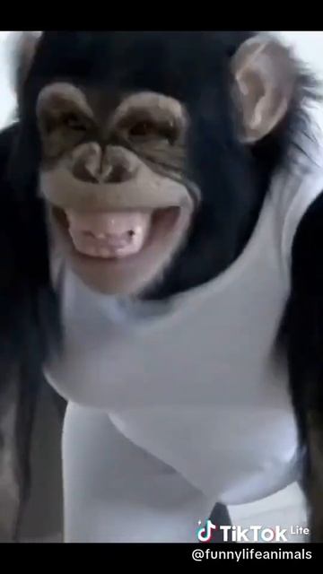 Звук поставил на всю и соседи не спят смотреть онлайн