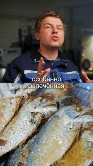 Три САМЫЕ ПОЛЕЗНЫЕ рыбы за копейки! #рыба #рыбалка #рыбоводство #узв #рыбак #удочка #пруд #питание