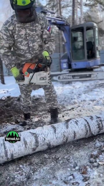 Спил деревьев, заготовка дров Иркутск 99-44-40 смотреть онлайн