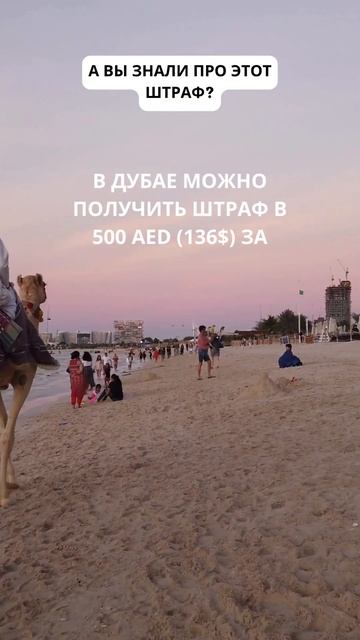 Такой штраф действительно есть в Дубае смотреть онлайн