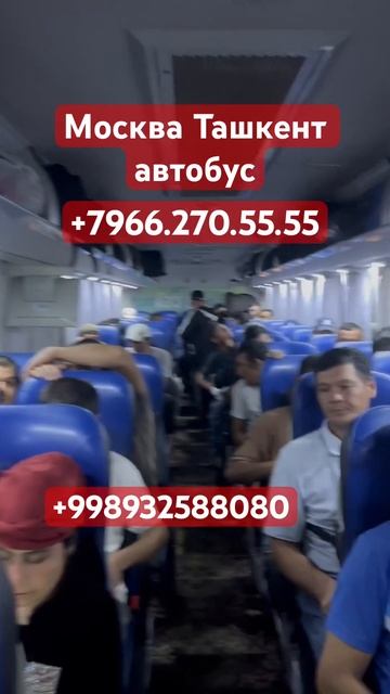 #москва #ташкент #автобус #2023 прямой рейс Санкт-Петербу смотреть онлайн