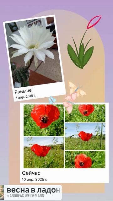 11 апреля 2025 г. смотреть онлайн