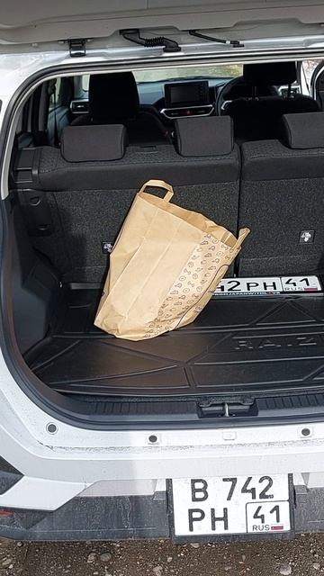 Toyota Raize, коврики 3D Lux в салон и багажник