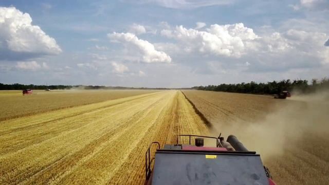 Жатва смотреть онлайн