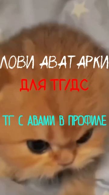 Ютуб ест качество🥲 Поэтому скачивай все в 4К в нашем т смотреть онлайн