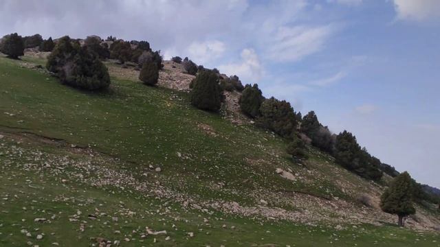 Курама смотреть онлайн