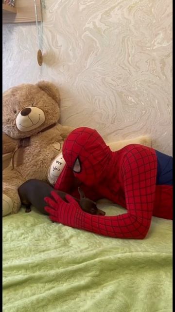 НАМ ПОЕСТЬ ДА ПОСПАТЬ 🐕😅 #детскиесказкинаночь #соба? смотреть онлайн