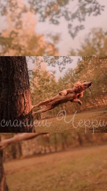 наше первое видео,мы есть во всех соц сетях!