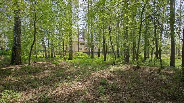 1000055751.mp4 смотреть онлайн