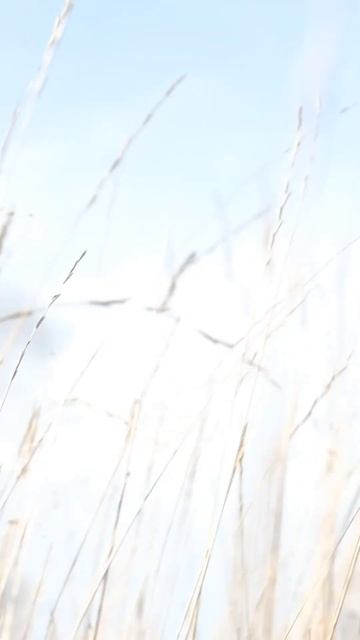 Оборонительная граната: как и когда ее использовать?