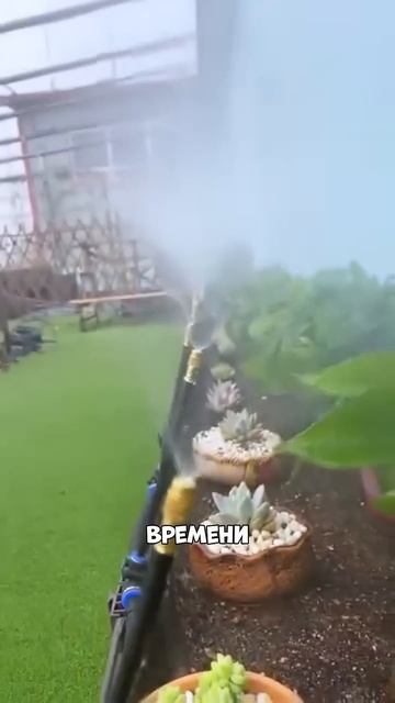 АРТИКУЛ В ОПИСАНИЕ ПРОФИЛЯ, ТОЧНО ЕСТЬ‼️ смотреть онлайн