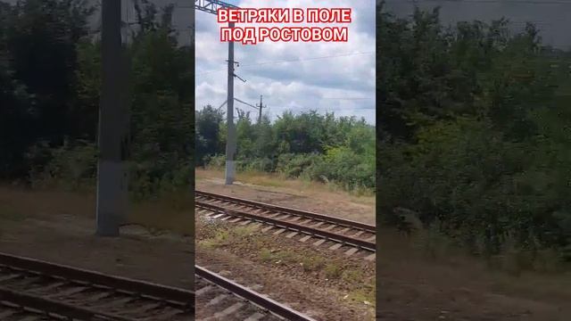 ВЕТРЯКИ В ПОЛЕ ПОД РОСТОВОМ ПОД СТУК КОЛЕС #ржд #поезд #