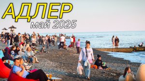 Обстановка на пляжах Адлера в мае. Адлер 2025. Сочи 2025. Черное море.