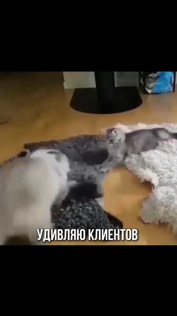 как проходят ваши будни?