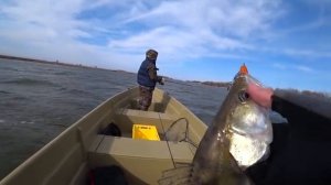 Рыбалка в Астрахани на спиннинг в марте 2019. ЛОМАЮ СПИННИНГ ОБ СУДАКОВ !