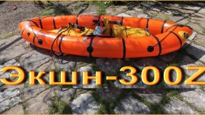 Экшн-300Z, сухой обзор