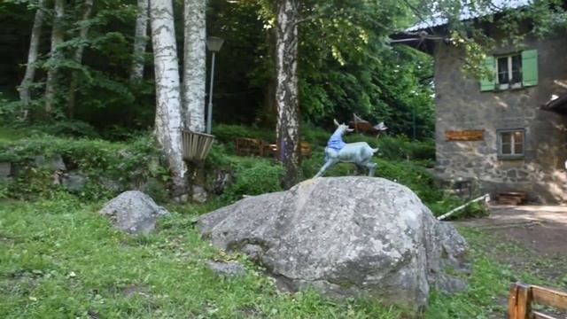 Хоум офис на Витоша / Home office on Vitosha смотреть онлайн