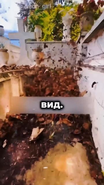 Эта девочка просто хочет быть хорошим человеком!❤️ смотреть онлайн