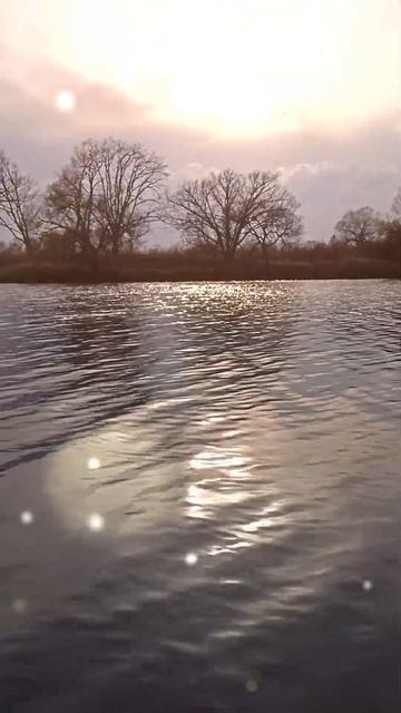 Хабаровский край Бикинский городской округ поселок Л? смотреть онлайн