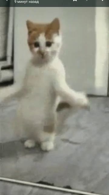 много спала много ела смотреть онлайн