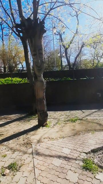 Ростов-на-Дону.Дуб Володька.14.04.25. смотреть онлайн