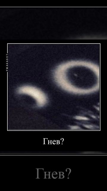 Неко Арк допрашивает тебя (Демотиватор) #necoarc #demotivator #sho смотреть онлайн