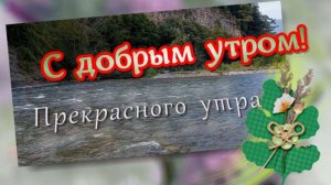 С добрым утром! Пожелания доброго утра