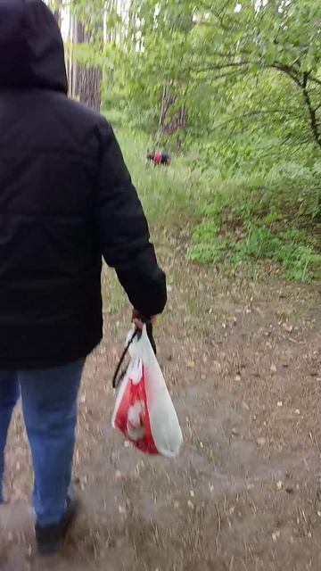 Якур и мячик