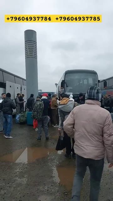 москва-ташкент автобус москва-самарканд автобус моск? смотреть онлайн