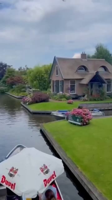 Самые красивые гортензии#гортензия #flowers #гортензія #gar смотреть онлайн