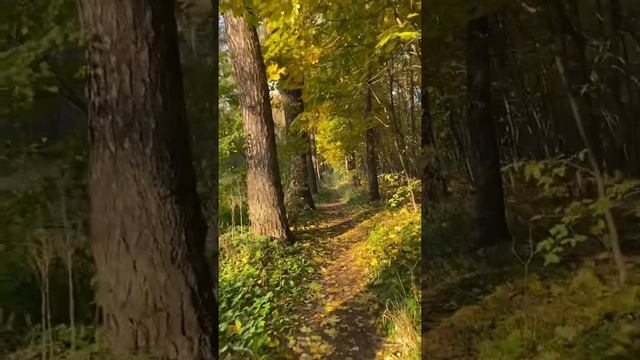 В сторону метро Партизанская смотреть онлайн