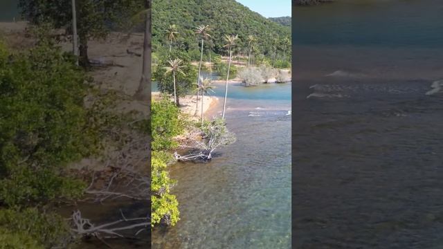 В МИРЕ МНОГО ЕСТЬ УДИВИТЕЛЬНЫХ МЕСТ 🌎 КО ЧАНГ. ТАИЛАН? смотреть онлайн