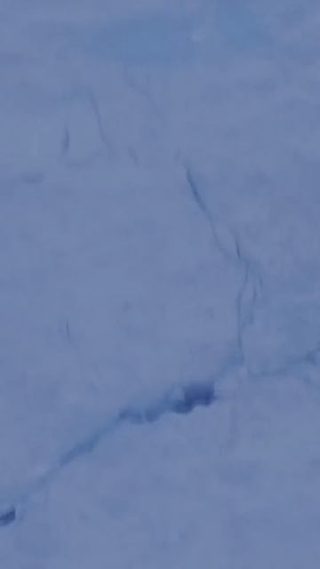 Доверил Джейсону бурить лёд