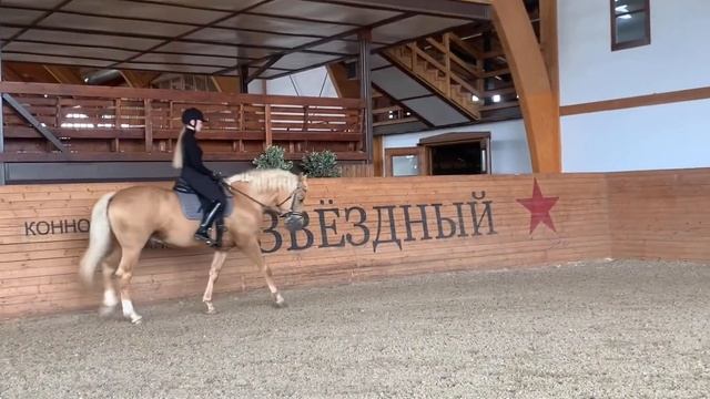 Тренировка у Виктора Петровича Угрюмова смотреть онлайн