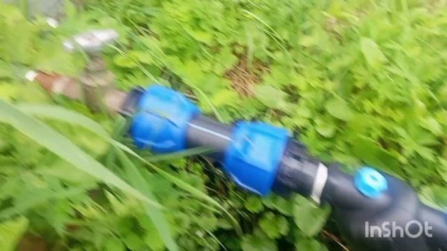 Небольшое поле гортензий. Капельный полив 💦 смотреть онлайн