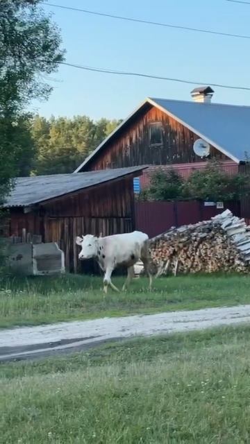 А у вас есть домик в деревне ? Напишите смотреть онлайн