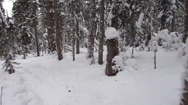 Выкат к Камню