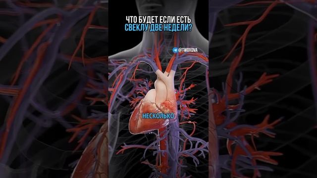 Что будет если есть каждый день свеклу?