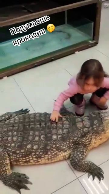 У детей вообще есть инстинкт самосохранения? 😆 а крок смотреть онлайн