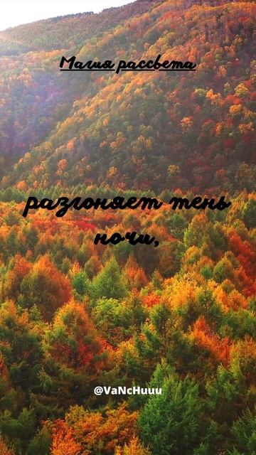 Магия рассвета, когда первый луч солнца разгоняет тен? смотреть онлайн