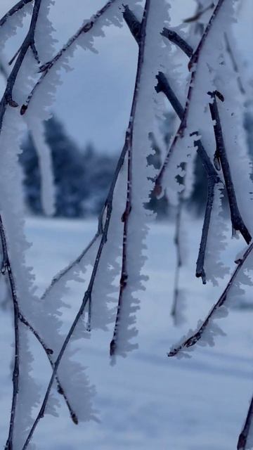 #зима #снег #красота #горы #закат #облака #туман #крым #ай смотреть онлайн