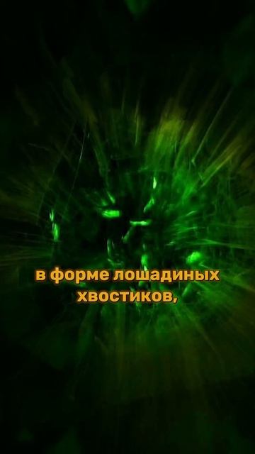 От чего зависит цвет гранатов? Какой гранат дороже изу смотреть онлайн