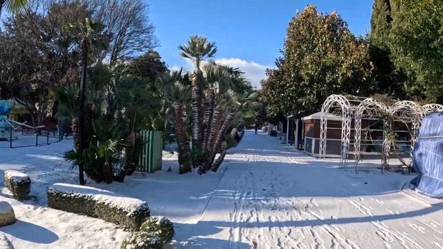 Опять пальмы в снегу! Лазаревское 22.02.25. ЛАЗАРЕВСКОЕ С? смотреть онлайн