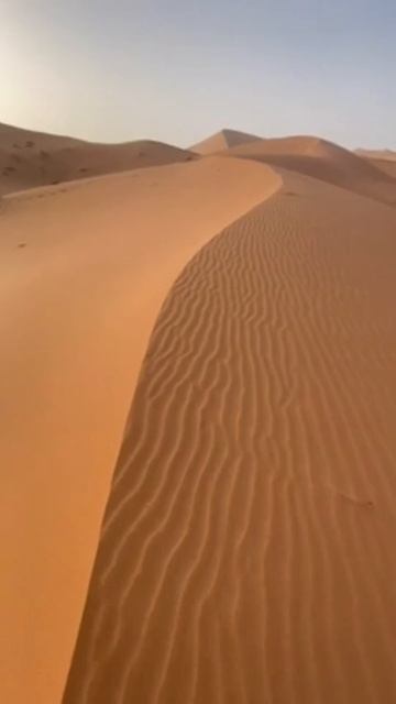 А ты знал, что в мире есть место где управляют только ж? смотреть онлайн