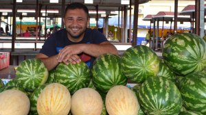 Как ВЫРАСТИТЬ арбузы, дыни в СРЕДНЕЙ полосе России. Проверенный способ