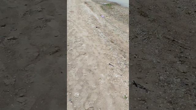 Кошмар в Ейске на Каменке и Меляках 9 мая 2025, грязный пляж в Ейске 2025, Каменка - грязный пляж смотреть онлайн